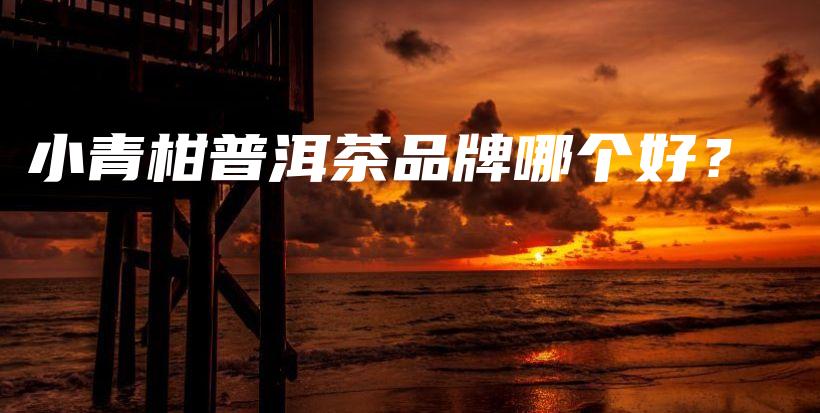 小青柑普洱茶品牌哪个好？插图