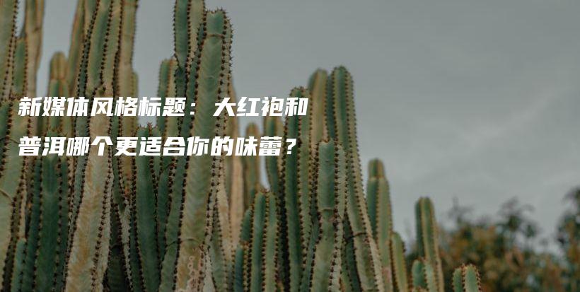 新媒体风格标题:大红袍和普洱哪个更适合你的味蕾?插图 新媒体风格标题:大红袍和普洱哪个更适合你的味蕾?插图