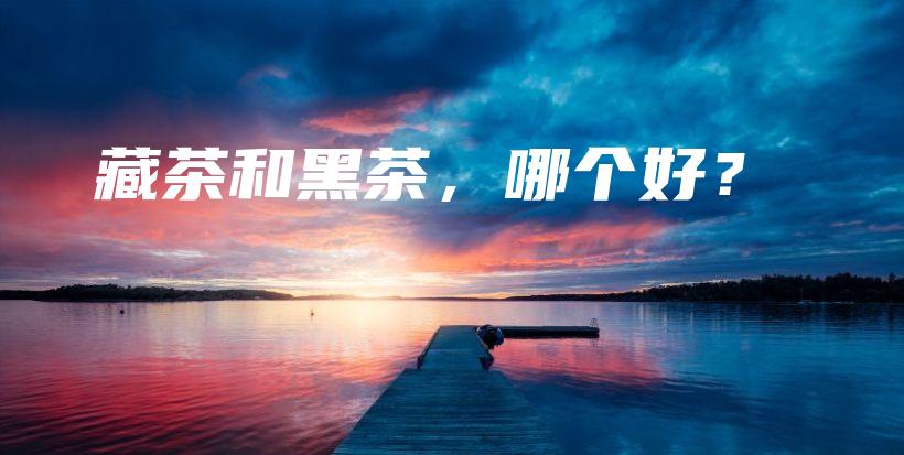 藏茶和黑茶，哪个好？插图
