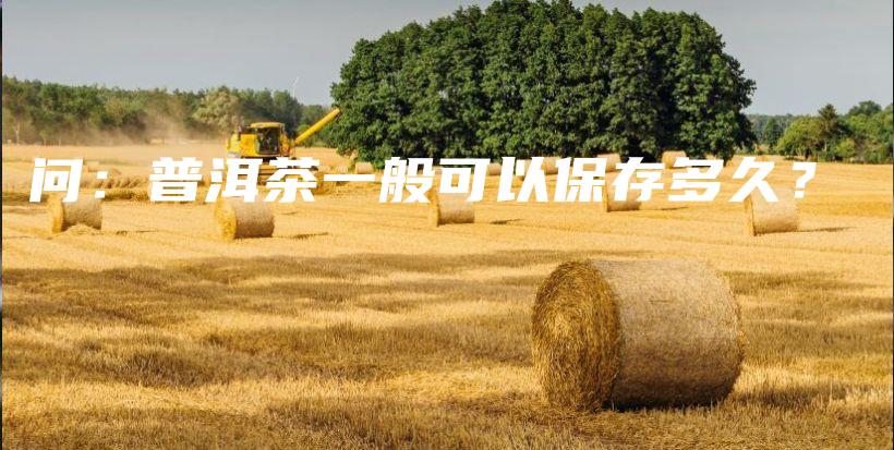 问：普洱茶一般可以保存多久？插图