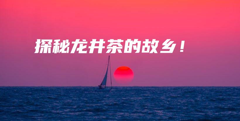 探秘龙井茶的故乡！插图