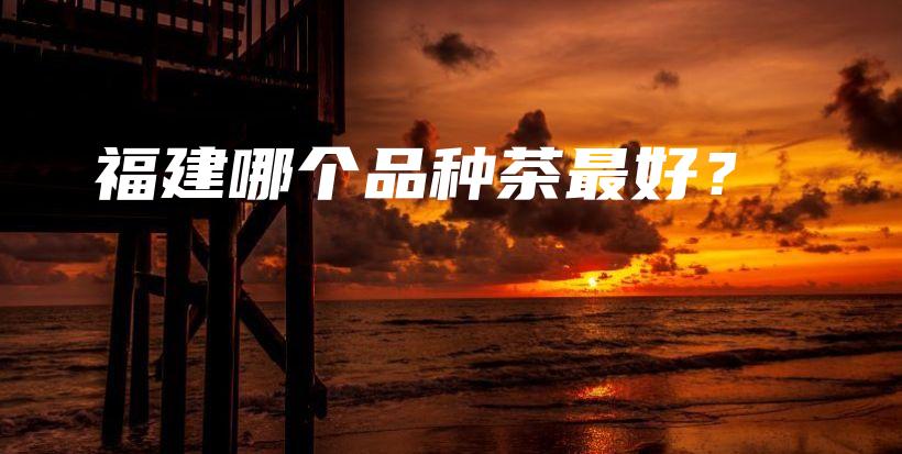福建哪个品种茶最好？插图