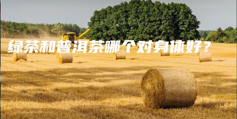 绿茶和普洱茶哪个对身体好？插图
