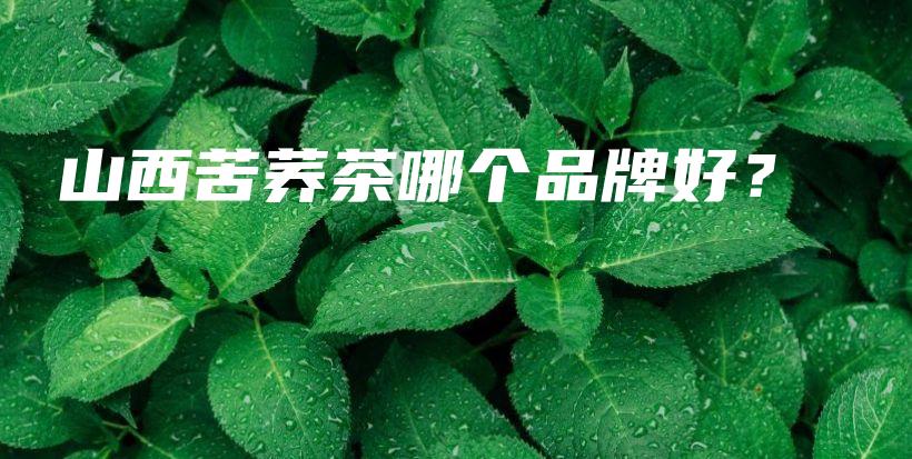 山西苦荞茶哪个品牌好？插图