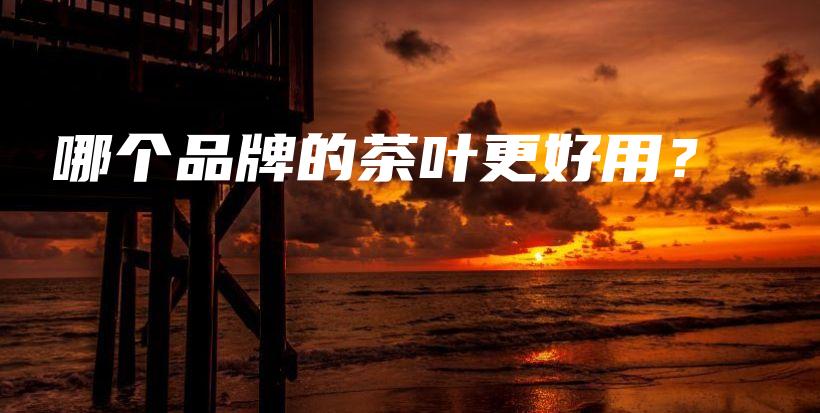 哪个品牌的茶叶更好用？插图
