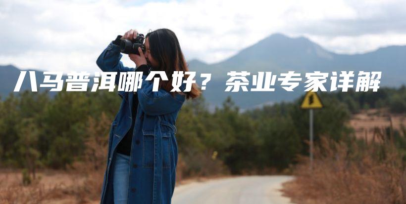 八马普洱哪个好?茶业专家详解插图 八马普洱哪个好?茶业专家详解插图