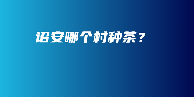 诏安哪个村种茶？插图