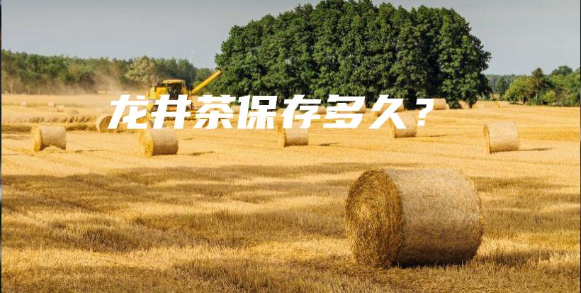 龙井茶保存多久？插图