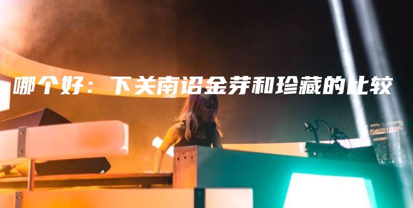 哪个好：下关南诏金芽和珍藏的比较插图