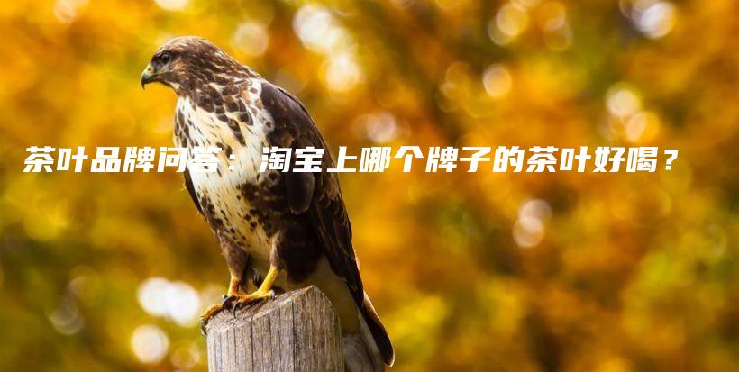 茶叶品牌问答：淘宝上哪个牌子的茶叶好喝？插图