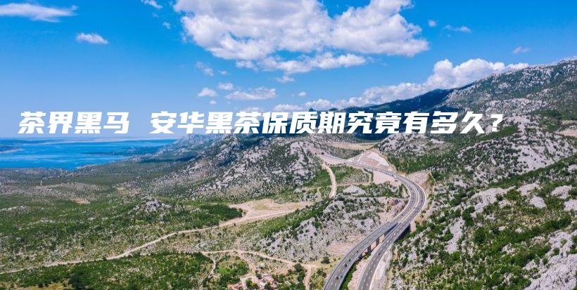 茶界黑马 安华黑茶保质期究竟有多久？插图