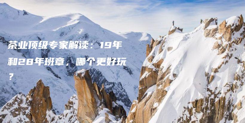 茶业顶级专家解读：19年和28年班章，哪个更好玩？插图
