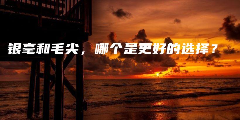银毫和毛尖，哪个是更好的选择？插图