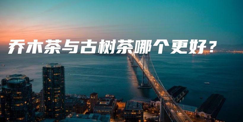 乔木茶与古树茶哪个更好？插图