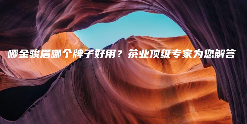 哪金骏眉哪个牌子好用？茶业顶级专家为您解答插图