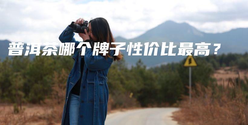 普洱茶哪个牌子性价比最高？插图
