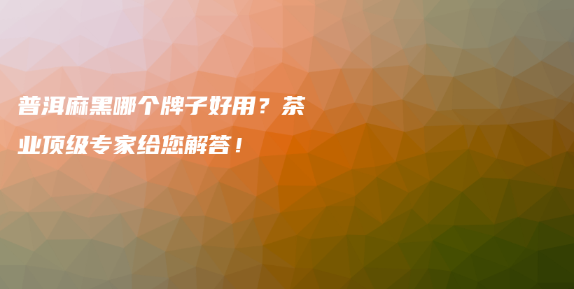 普洱麻黑哪个牌子好用？茶业顶级专家给您解答！插图