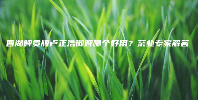 西湖牌贡牌卢正浩御牌哪个好用？茶业专家解答插图