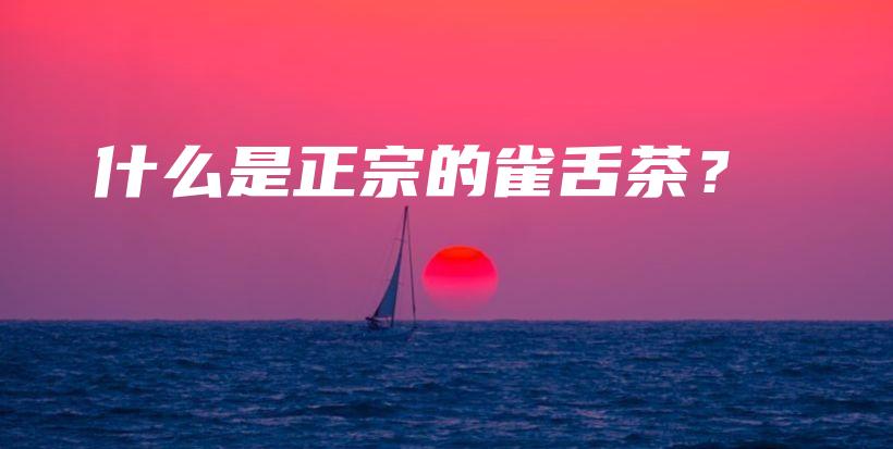 什么是正宗的雀舌茶？插图