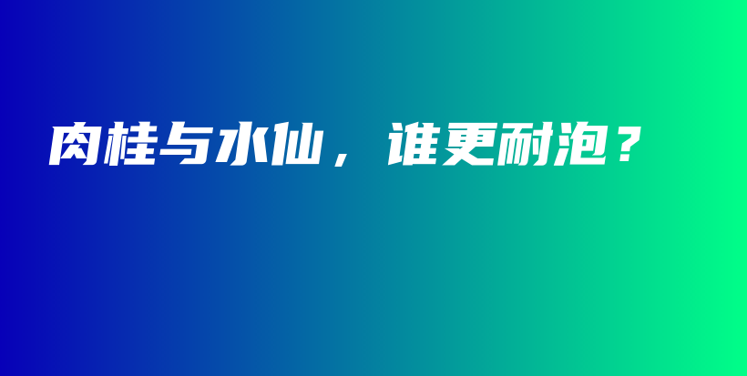 肉桂与水仙，谁更耐泡？插图