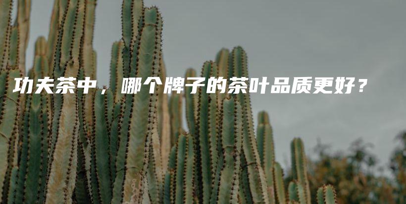功夫茶中，哪个牌子的茶叶品质更好？插图