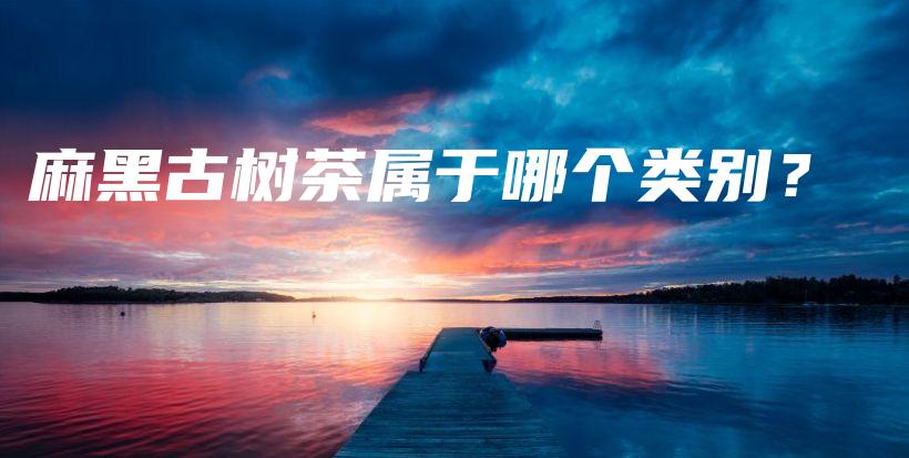麻黑古树茶属于哪个类别？插图