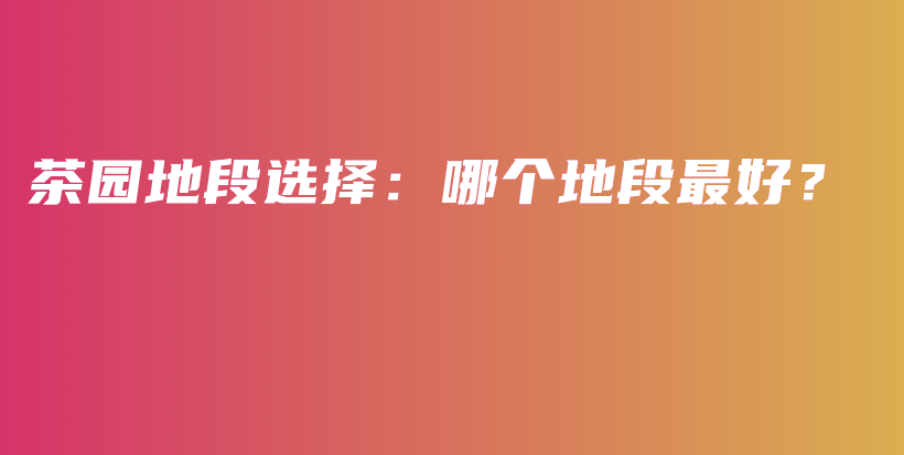 茶园地段选择：哪个地段最好？插图