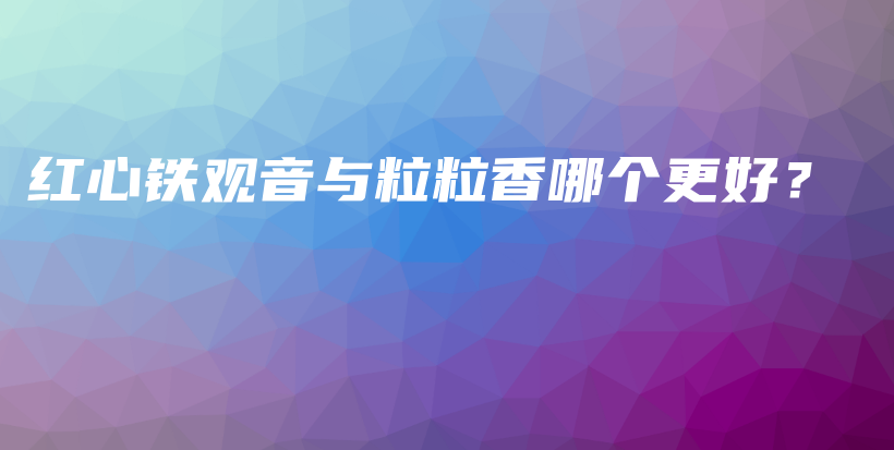 红心铁观音与粒粒香哪个更好?插图 红心铁观音与粒粒香哪个更好?插图