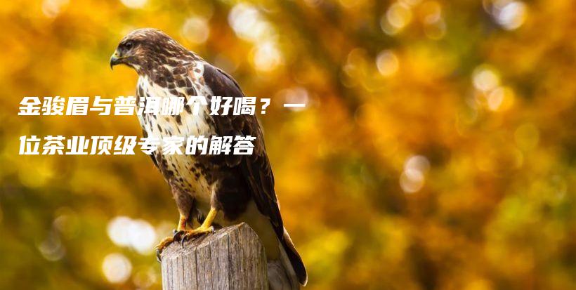 金骏眉与普洱哪个好喝？一位茶业顶级专家的解答插图