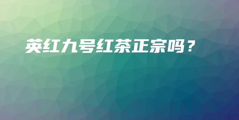 英红九号红茶正宗吗？插图