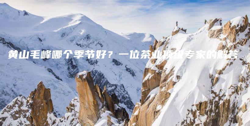 黄山毛峰哪个季节好？一位茶业顶级专家的解答插图