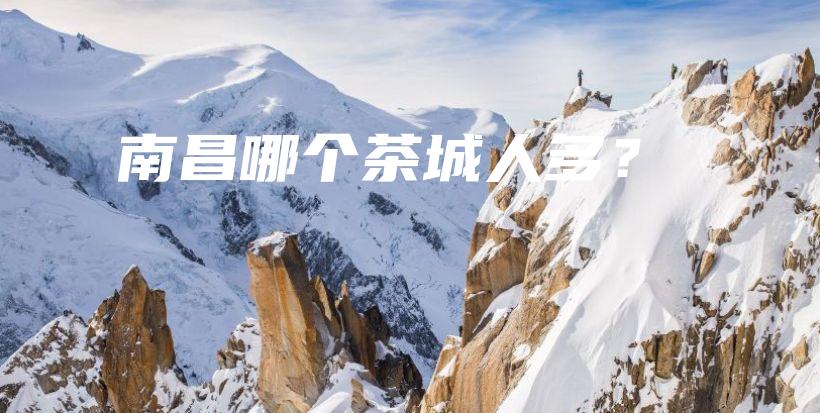 南昌哪个茶城人多？插图