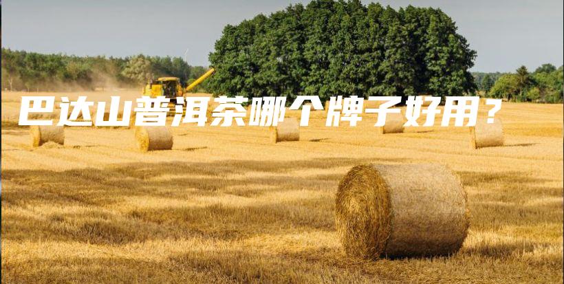 巴达山普洱茶哪个牌子好用？插图