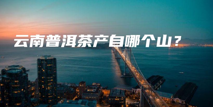 云南普洱茶产自哪个山？插图