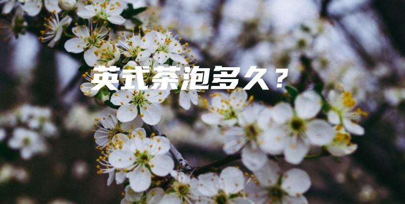 英式茶泡多久？插图