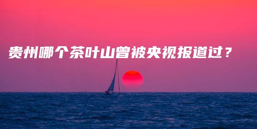 贵州哪个茶叶山曾被央视报道过？插图