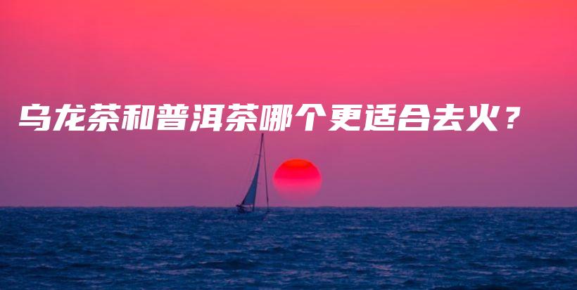 乌龙茶和普洱茶哪个更适合去火？插图