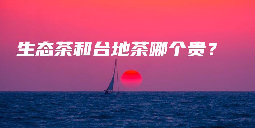 生态茶和台地茶哪个贵？插图