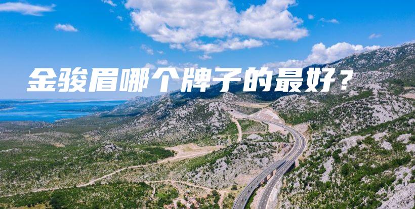 金骏眉哪个牌子的最好？插图