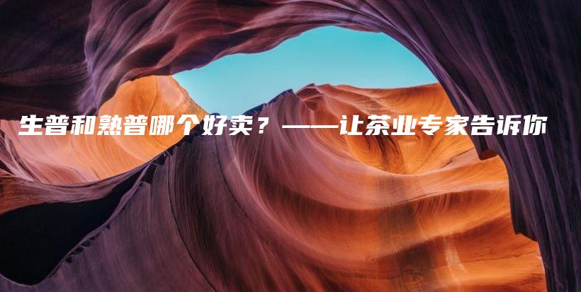 生普和熟普哪个好卖？——让茶业专家告诉你插图