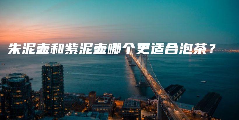 朱泥壶和紫泥壶哪个更适合泡茶?插图 朱泥壶和紫泥壶哪个更适合泡茶?插图