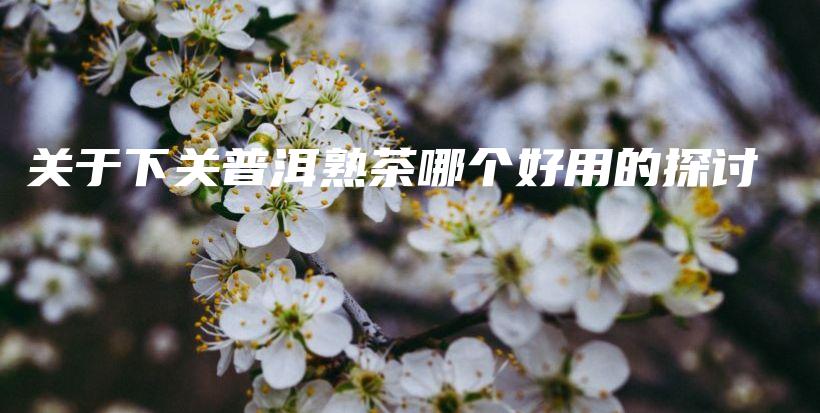 关于下关普洱熟茶哪个好用的探讨插图