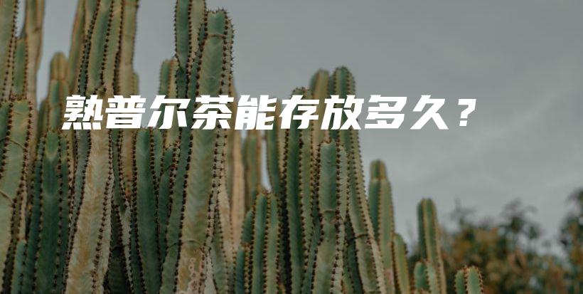 熟普尔茶能存放多久？插图