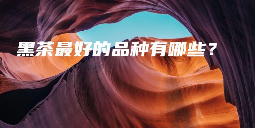 黑茶最好的品种有哪些？插图