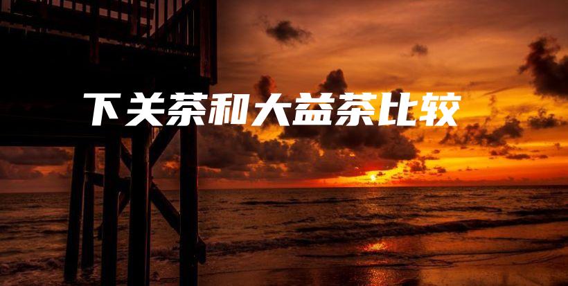 下关茶和大益茶比较插图