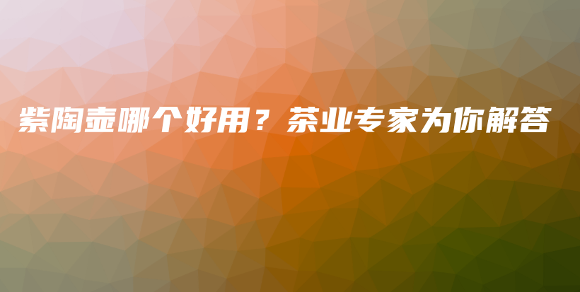紫陶壶哪个好用？茶业专家为你解答插图