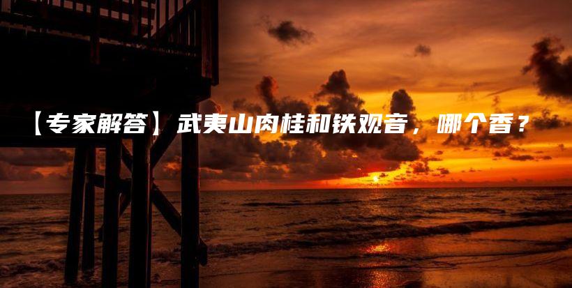 【专家解答】武夷山肉桂和铁观音，哪个香？插图