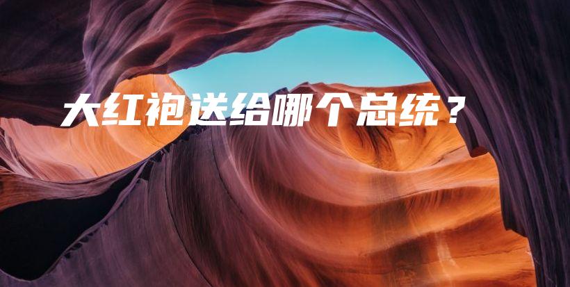 大红袍送给哪个总统?插图 大红袍送给哪个总统?插图