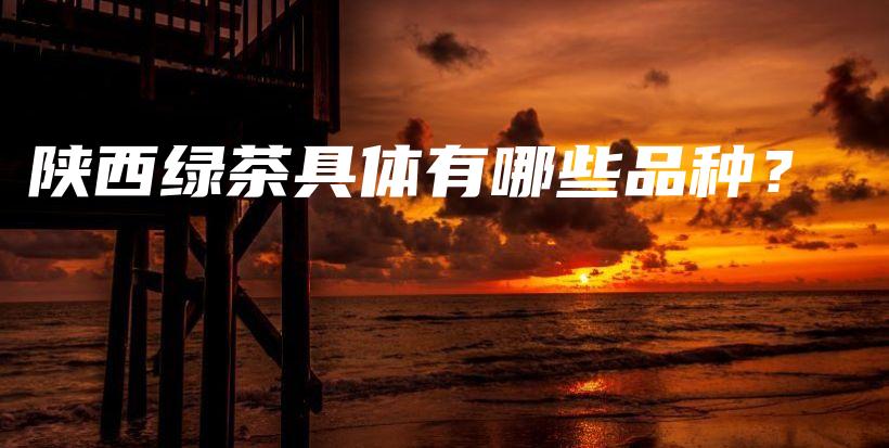 陕西绿茶具体有哪些品种？插图