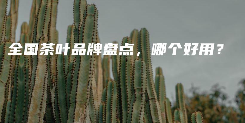全国茶叶品牌盘点，哪个好用？插图
